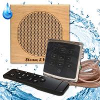 Комплект влагостойкой акустики SW 1 Black Eco Sauna (квадратная)