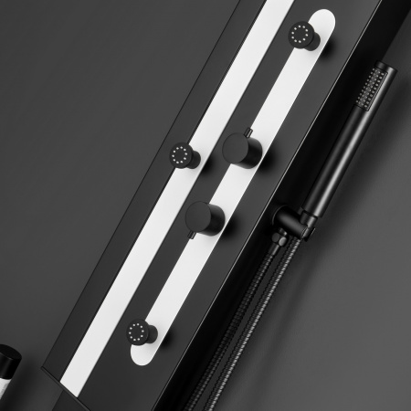 Душевая панель Black & White GR027